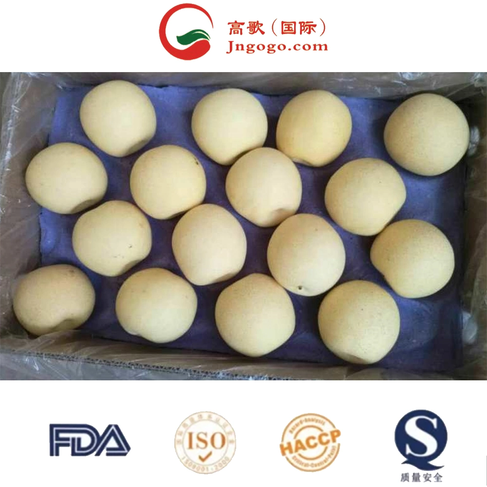 Chinese Fresh Yellow Pear Vitamins Fine Top Grade High Sugar