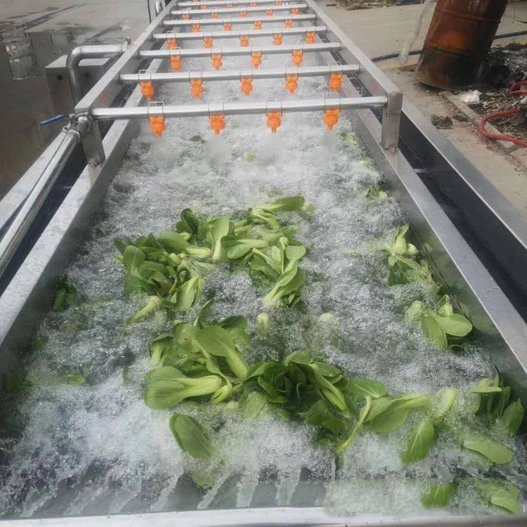 Rábano, té, limpiar las verduras, frutas y verduras de la máquina de limpieza de la burbuja