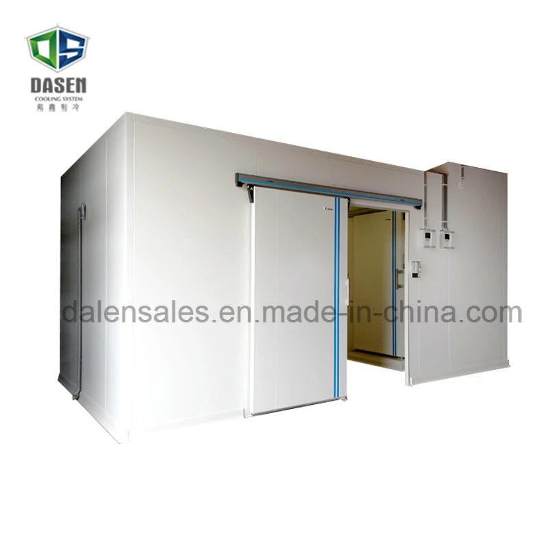 Cámaras Frigoríficas puertas corredizas de -20 grados centígrados (DCM-350)