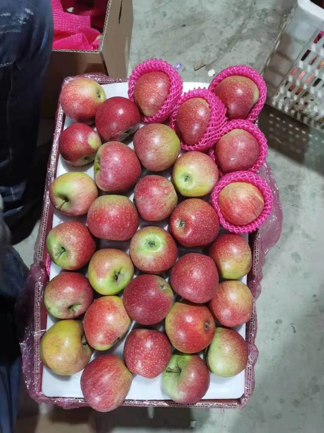 Chinese Fresh Qinguan Red Apple