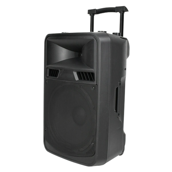 Luxury Stereo Outside Smart Private Model Professional Portable Trolley 15 Inch Audio Loud Speaker