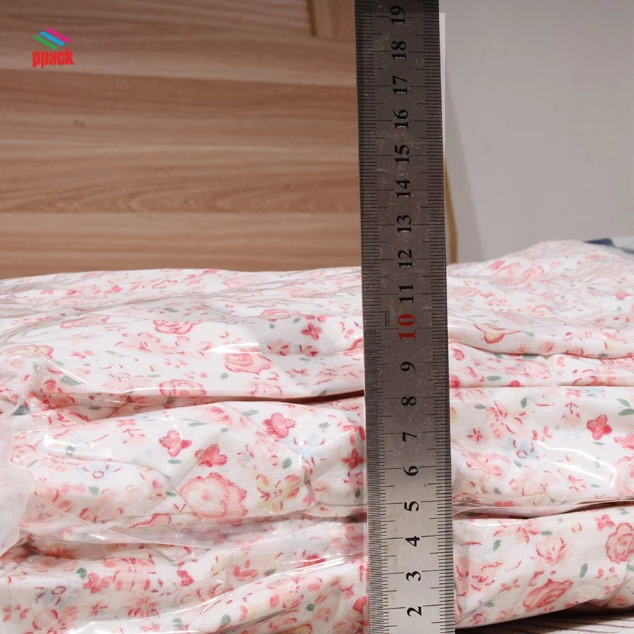 Sample Free! Vacuum Space Saver Storage Compressed Bag for Quilt Made in China Manufacture