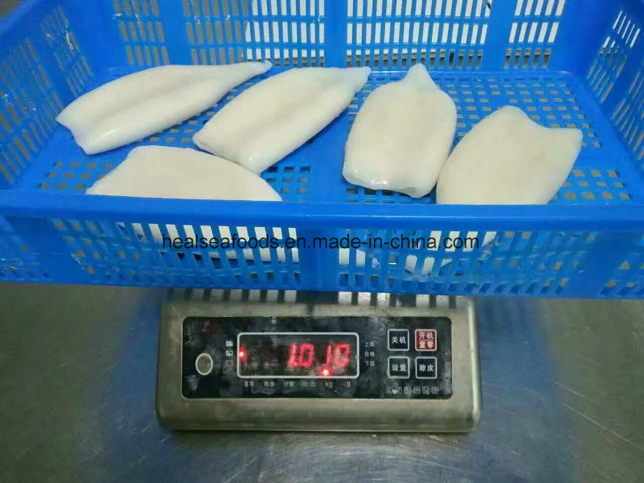 Frozen Squid Tube From Taiwan Vessel