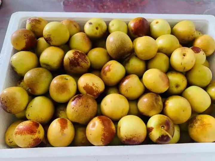 New Crop Top Quality Fresh Fruits Winter Jujube Apple