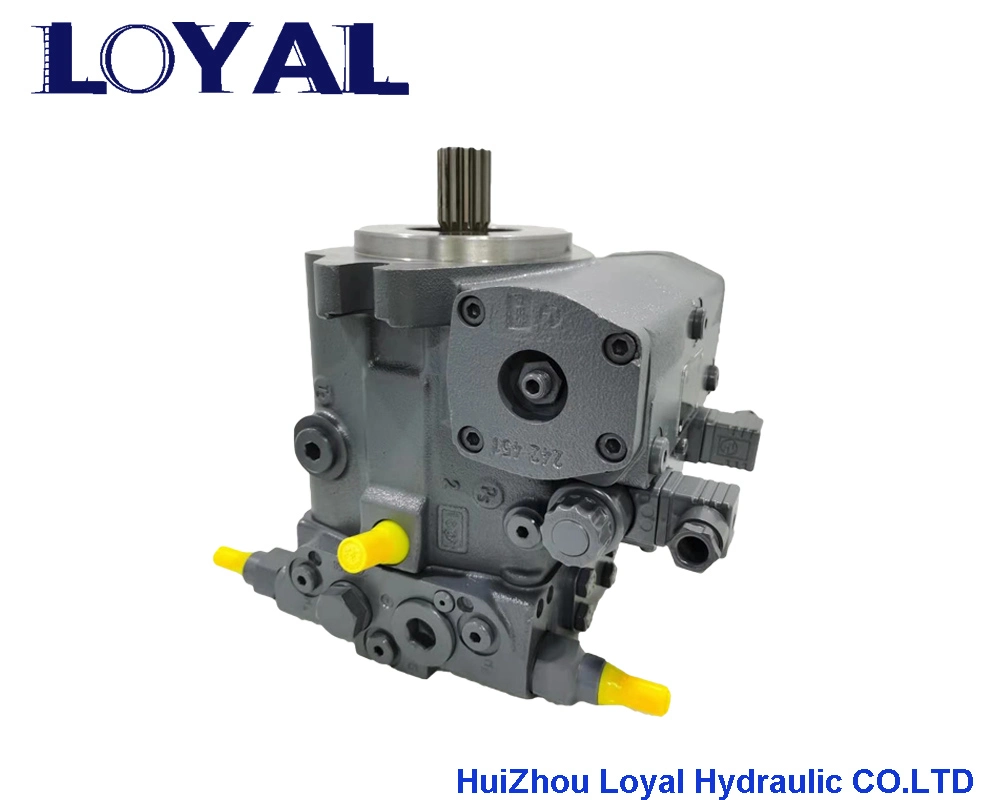 Spare Parts for Rexroth A10vg18, A10vg28, A10vg45, A10vg63 Hydraulic Pump, Chain Saw, Crawler Excavator, Tractor