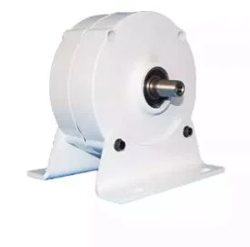 100W 200W 300W Windturbine Preis Maglev Generator Windkraft Komponenten