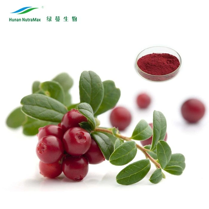 100% Natural Cranberry Fruit Juice Powder Extract (4: 1 to 25: 1)