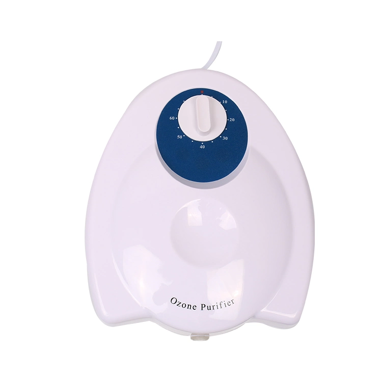 ODM/ OEM Air Freshener Fruit and Vegetable Ozone Purifier