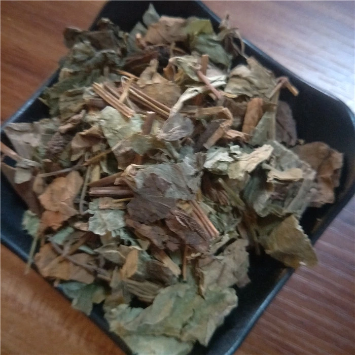 Yu Xing Cao Medicina Herbal Tradicional China Hierba Seca de Houttuyniae Herba