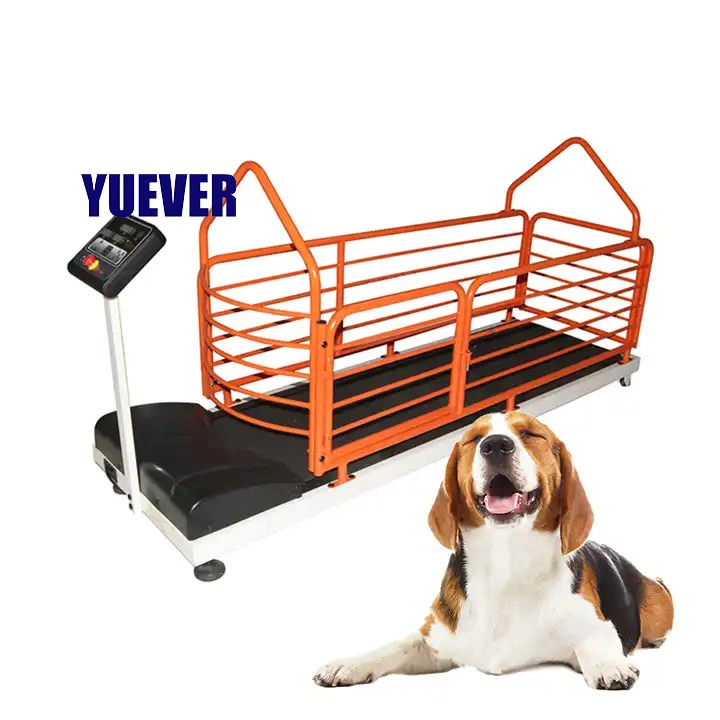 Yuever Medical Low Price Dog Treadmill Large Dog Resistance Treadmill Treadmill for Pets