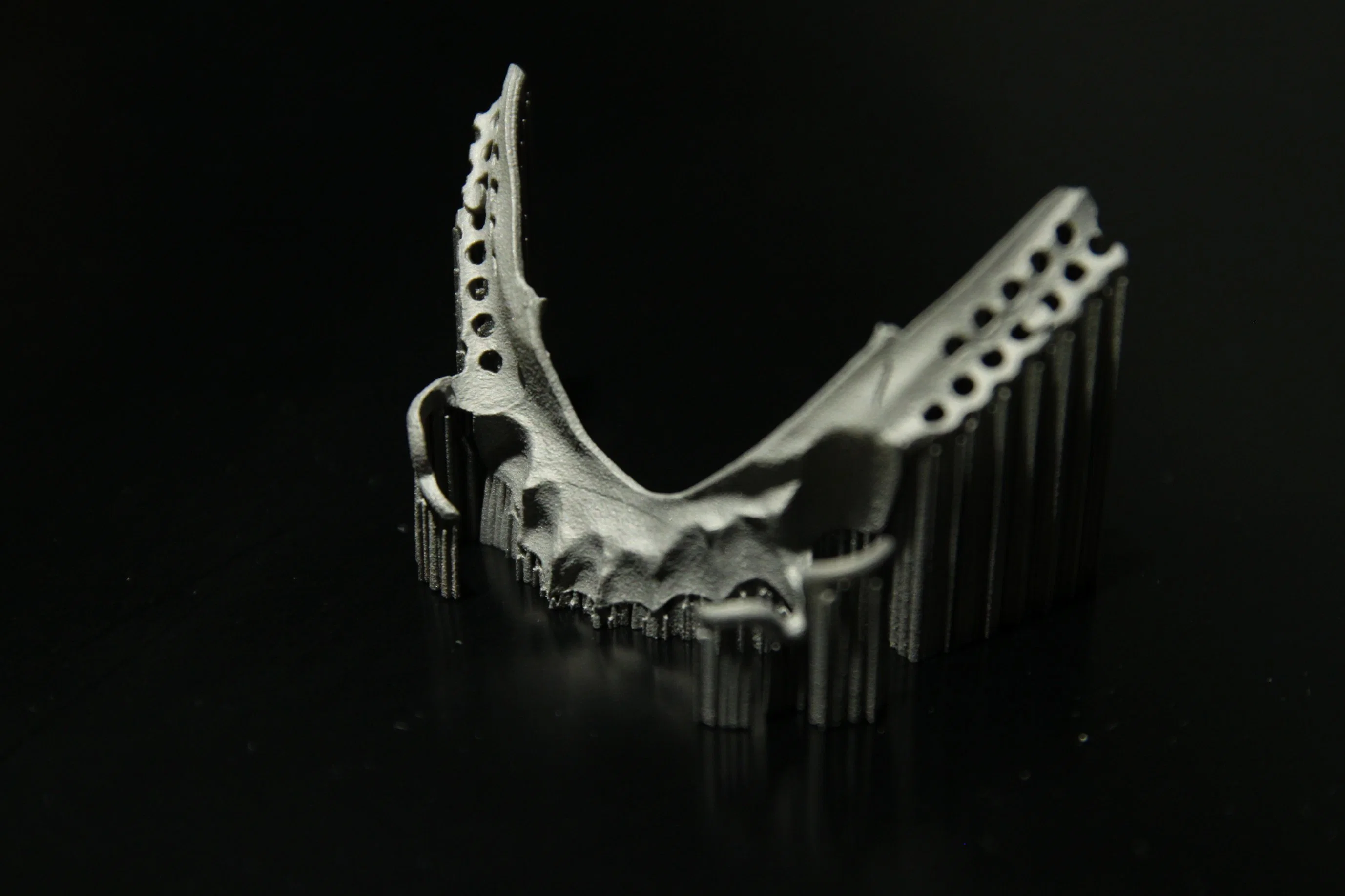 طابعة ليزر مزدوجة طراز Precision ثلاثية الأبعاد لمعمل الأسنان IS200