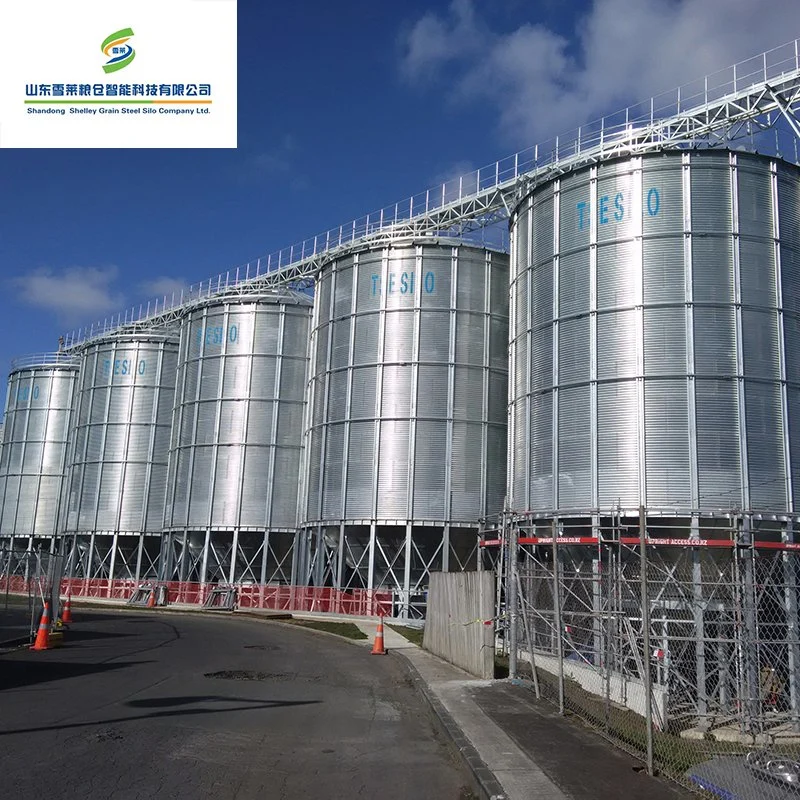 1000tons Asssembly Galvanized Corrugated Grain Silo