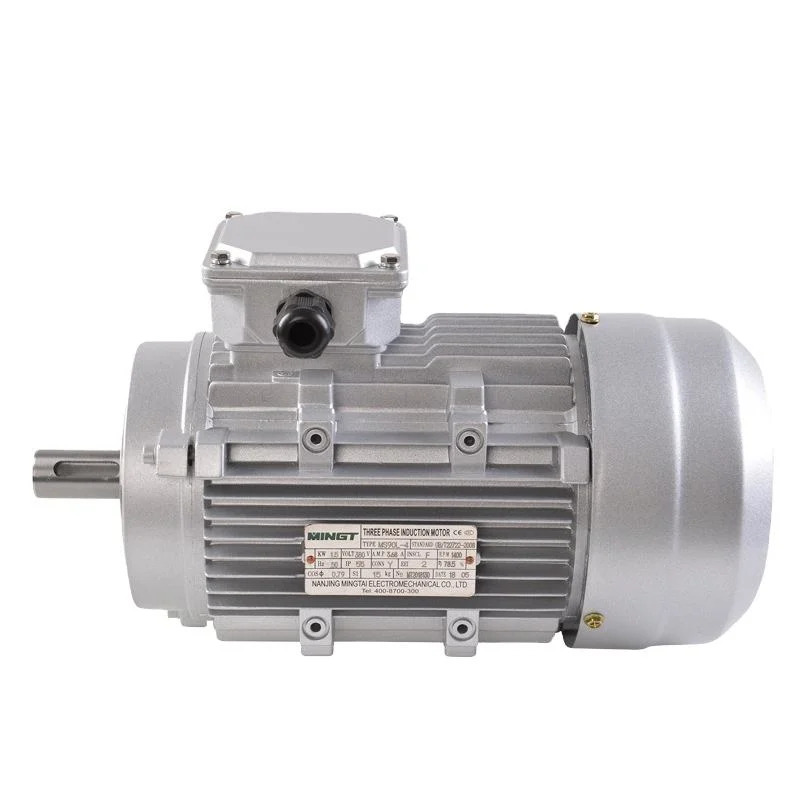 Standard Three Phase Induction Motor Cast Iron Electric AC Motor