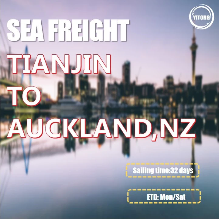 Sea Freight From Shanghai to Auckland New Zealand