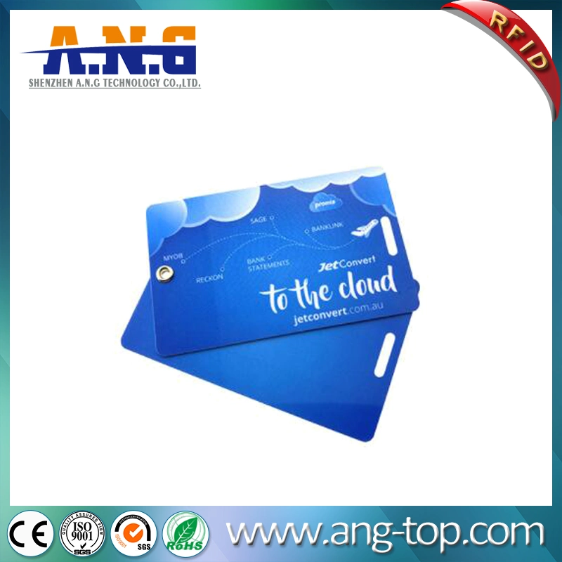 Double PVC Card with Transparent Rope for Luggage Tag