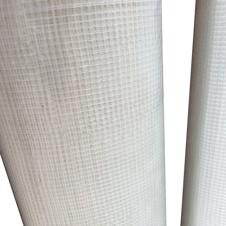 Cheap Hebei Fiber Glass Cloth Roll Fiberglass Mesh Cloth for Construction and Building