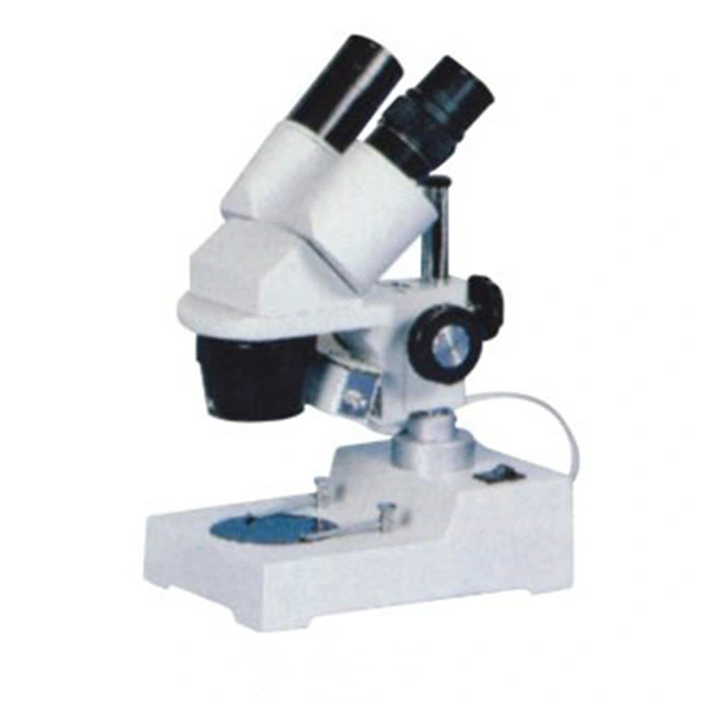 Student Study S-30 Series Stereo Microscope