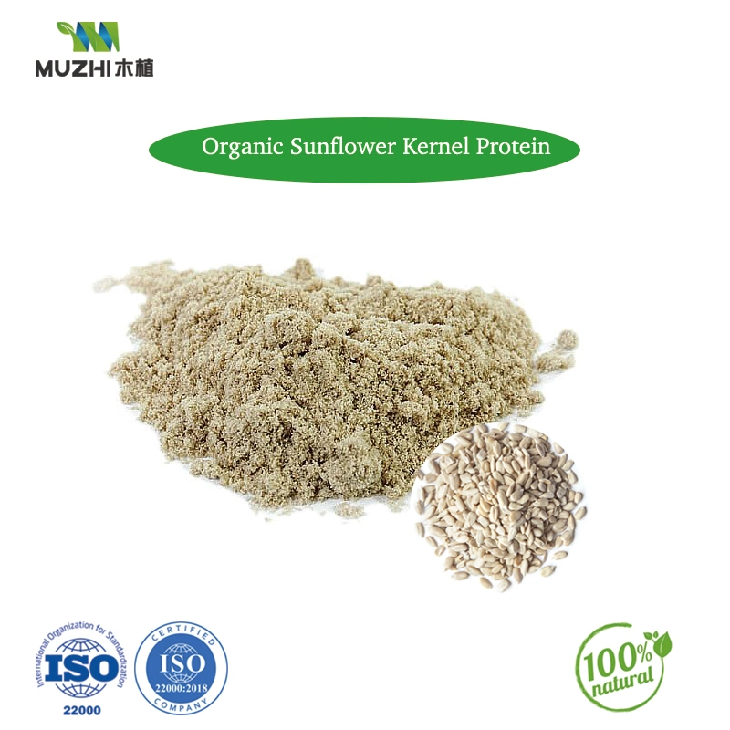 Beet Root Powder (standardized by 2%Nitrate) Natural Herbal Plant Extract