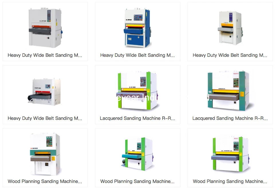 China Automatic Sliding Table Panel Saw Wood Cutting Machine