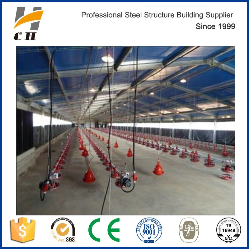 Factory Suppilers Prefab Steel Sheds Poultry Farm Structures