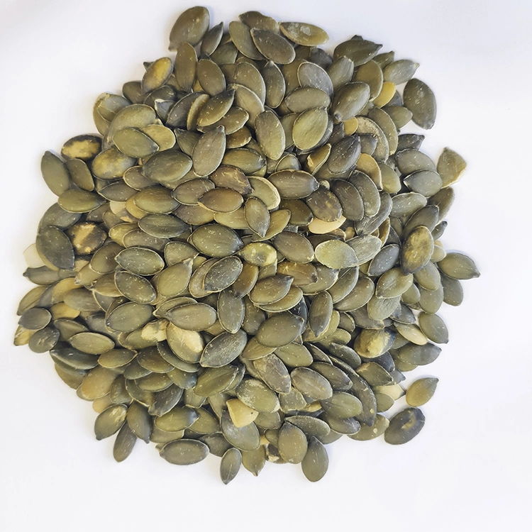 Organic Gws AA Origin in Gansu Chinese Pumpkin Seed Kernels