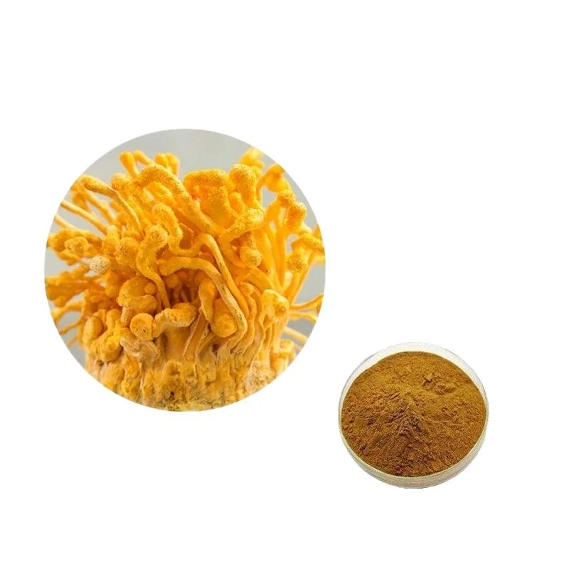 Cordyceps Militaris Extract/ Cordycepin 3%-4% / CAS No 73-03-0