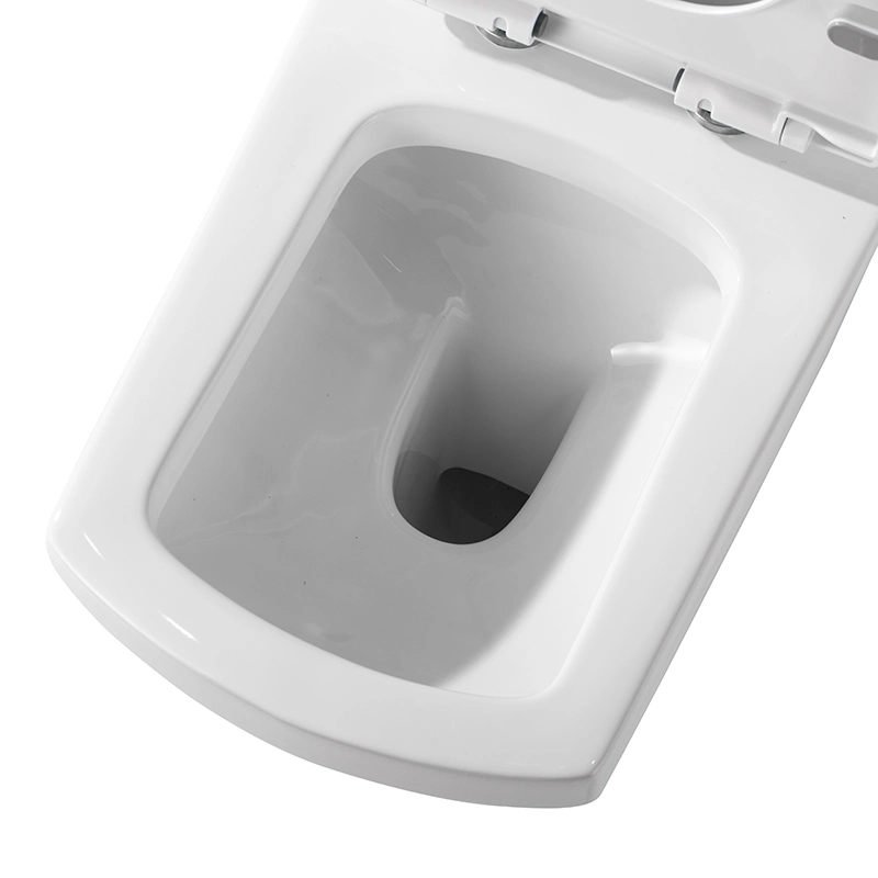 Supplier Bathroom Wc Sanitary Building Material High quality/High cost performance  European Rimless Flushing Soft Seat Cover Floor Mounted Toilet