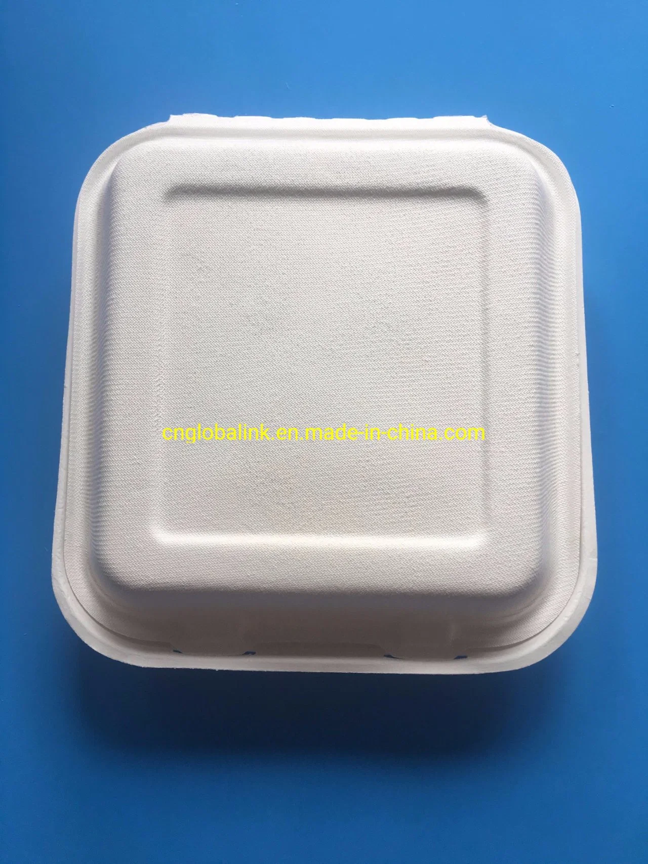 Biodegradable Food Packaging Container 8 Inch Lunch Box Take Away Food Container Sugarcane Food Packaging Box