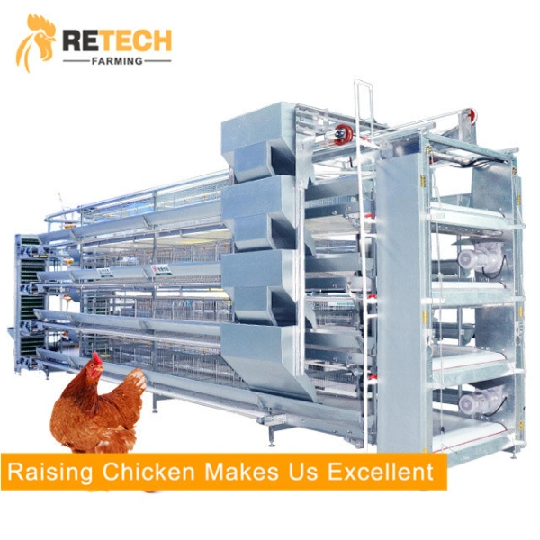 Automatic Poultry Farm Equipment Battery Egg Layer Chicken Cage for Laying Hens