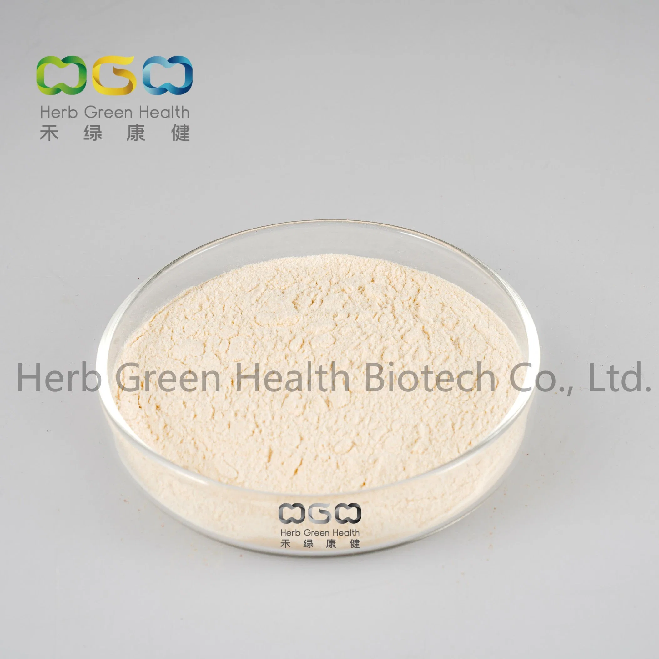 Top Quality Apium Graveoleus Celery Seed Extract Apigenin 98% Powder