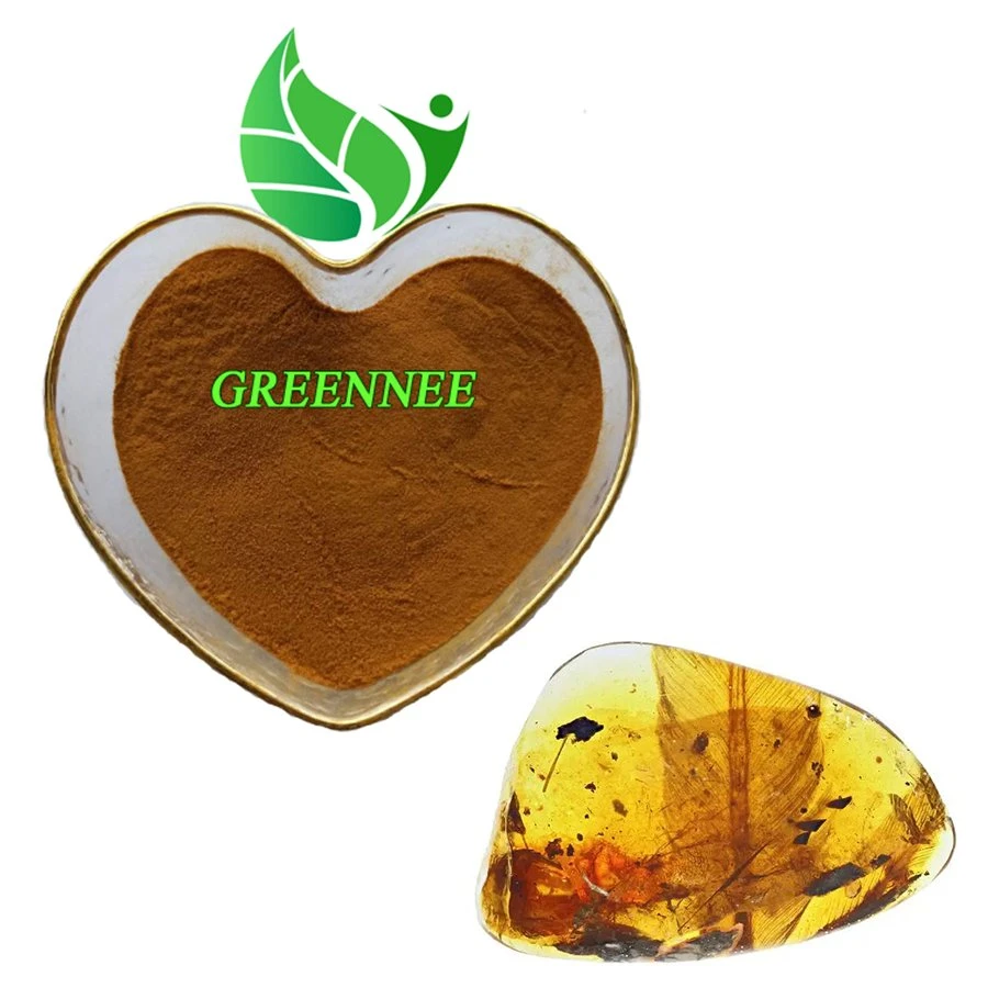 100% Natural Amber Powder Amber Extract Powder