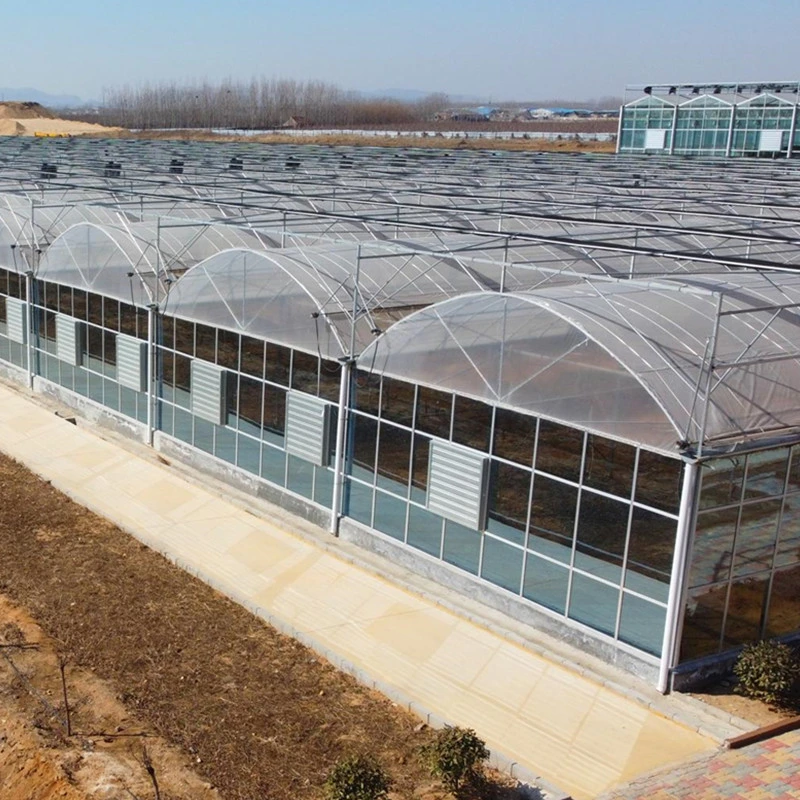 A China fez Multi-Span Hidroponia película plástica /Vidro estufa agrícola com folha de policarbonato para exploração comercial