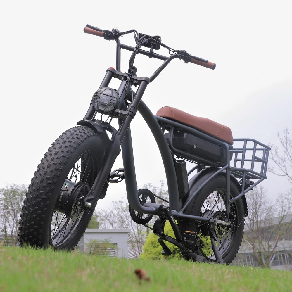 Fast bicicleta eléctrica bicicleta eléctrica de los neumáticos de 20 pulgadas neumático Fat bicicleta Bicicleta eléctrica de 2 ruedas moto de la ciudad, con firme Ebike cesta