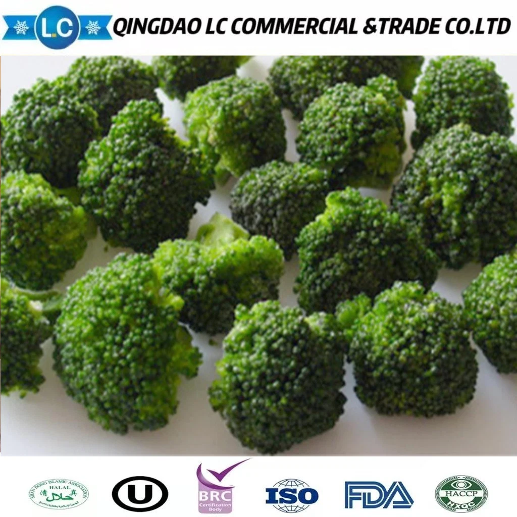 Cheapest Bulk Fresh Frozen Organic Vegetables Specification IQF Broccoli