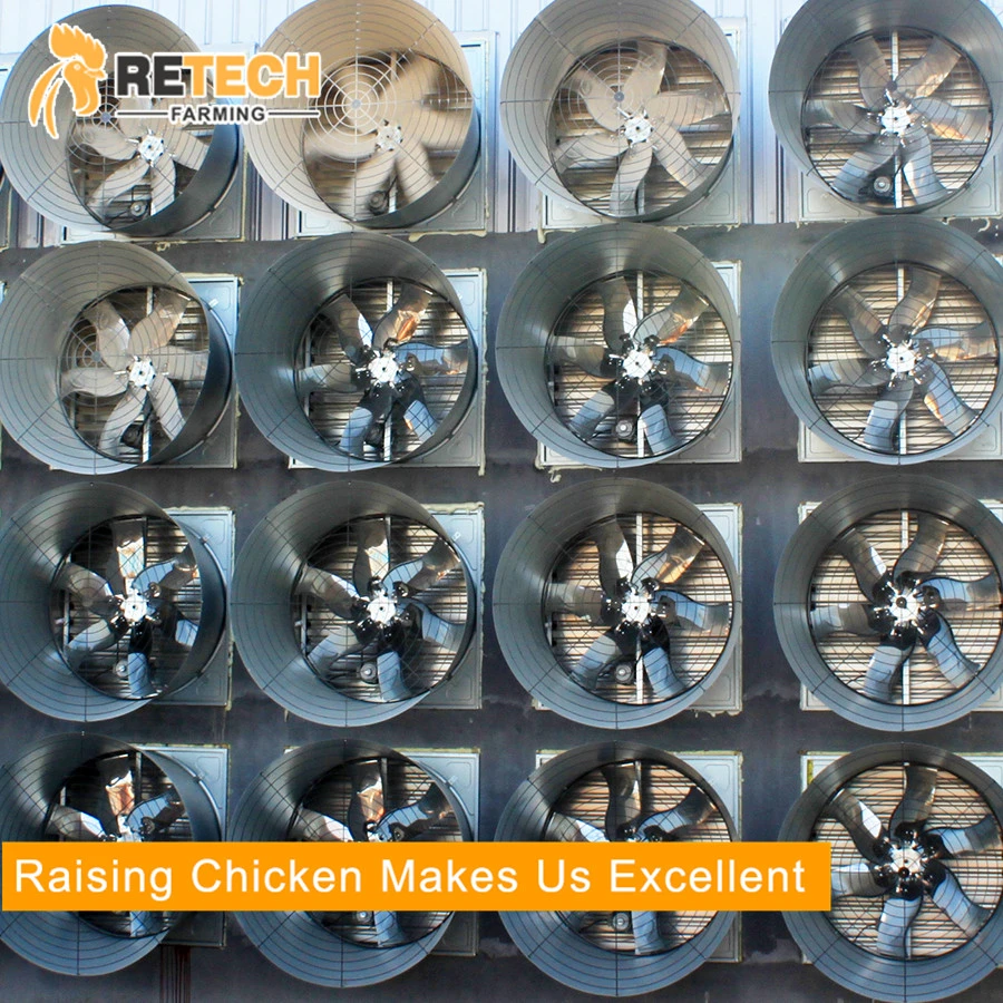 Poultry Farm Equipment Egg Layer Chicken Battery Cages for Sale