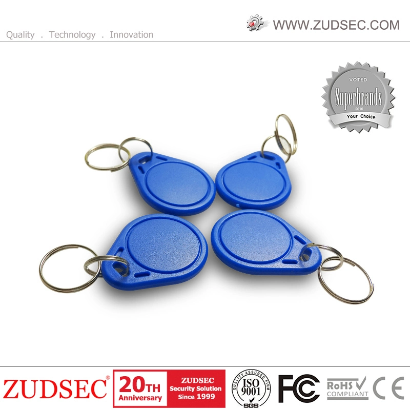 Customized RFID 125kHz Proximity ID Key Tag for Access Control