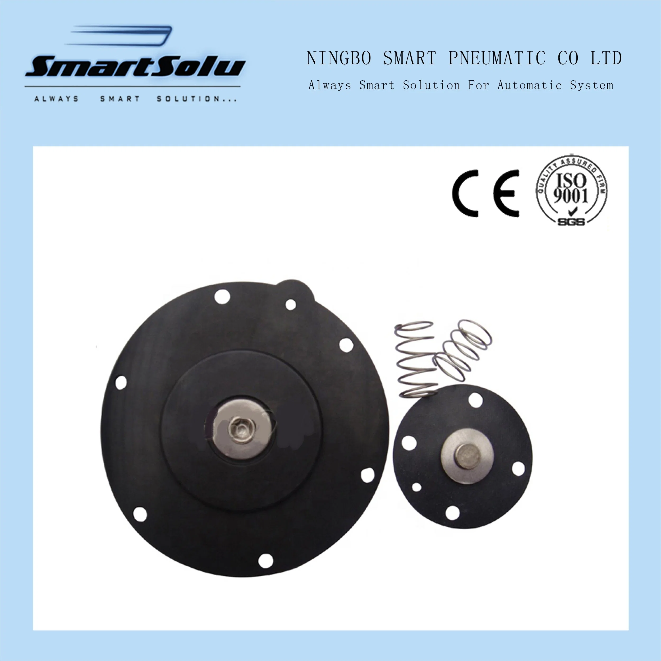 K4503 /M2163 Type Diaphragm Membrane Kits for High Temperature 200c Ca/RCA45