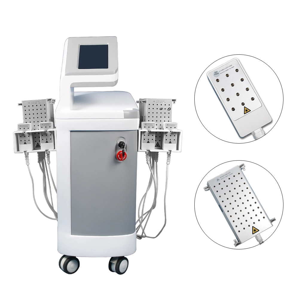 Bon effet de la Lipolyse Laser Diode Laser de Lipo Beauty Machine 12 palettes machine laser