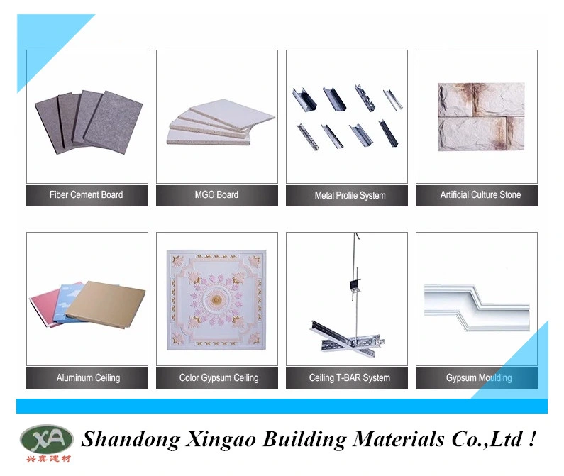 Customized Stretch Ceiling Material for House