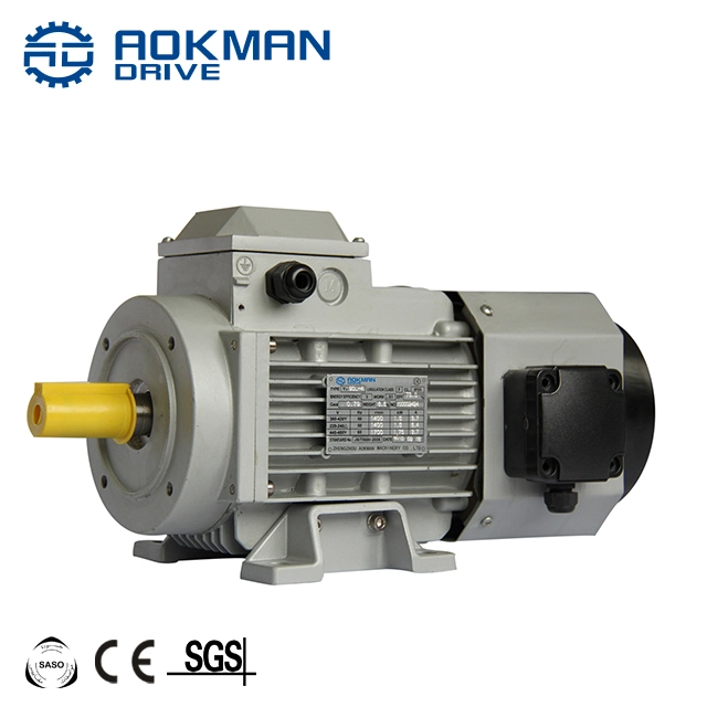 Energy Saving Yvf Small Variable Speed Frequency AC Motor