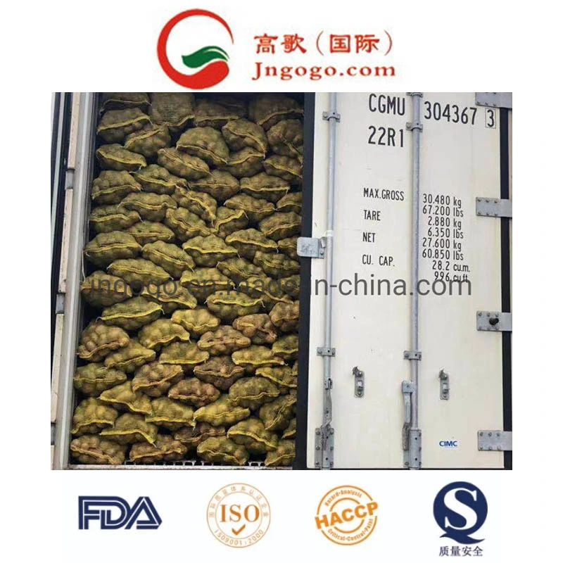 China New Crop Fresh Potato Supplier (50-200G)