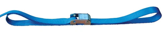 Cargo Lashing Belt Endless Ratchet Tie Downs ODM OEM Factory Customizable Hardware