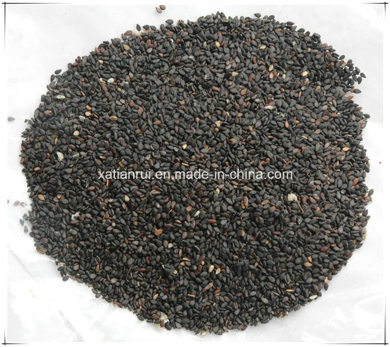 Hersteller Natural Black Sesam / Samen Sesami Nigrum 10: 1 Extraktpulver