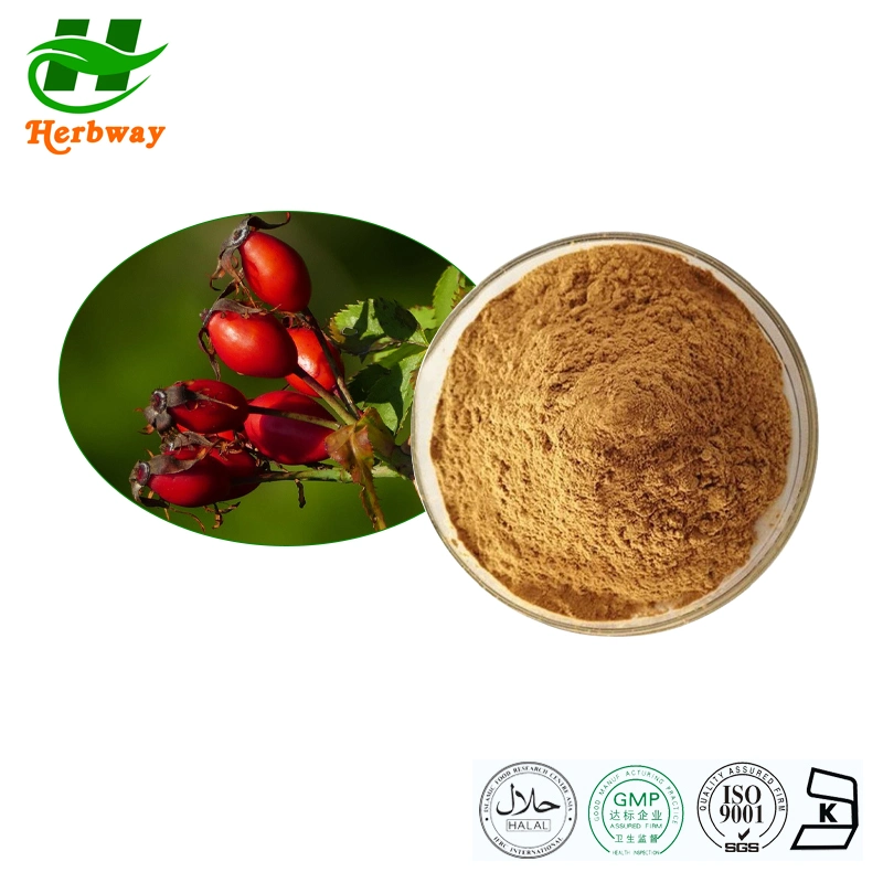 Herbway Extracto Natural de plantas Rosehips Extracto de fruta Vitamina C farmacéutica Reducir el cáncer de mama