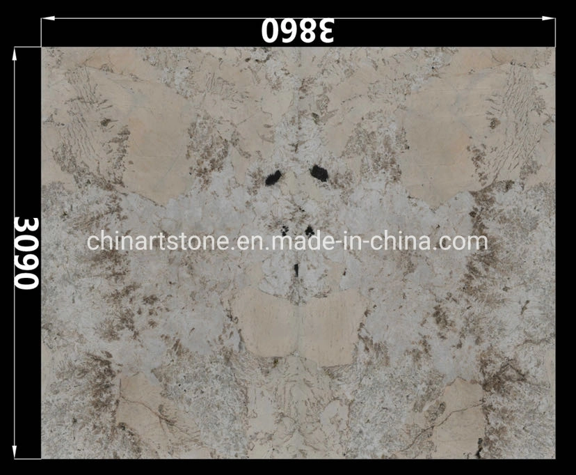 Nature Marble Granite Quartzite Stone Slab for Guestroom Wall