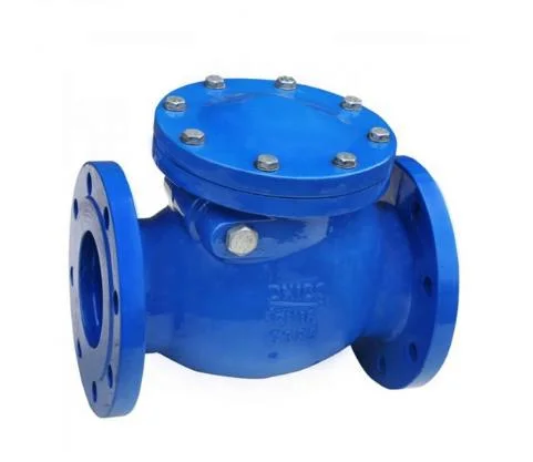 1 Inch Swing Check Valve with Cast Iron Carbon Steel Stainless Steel as Customized