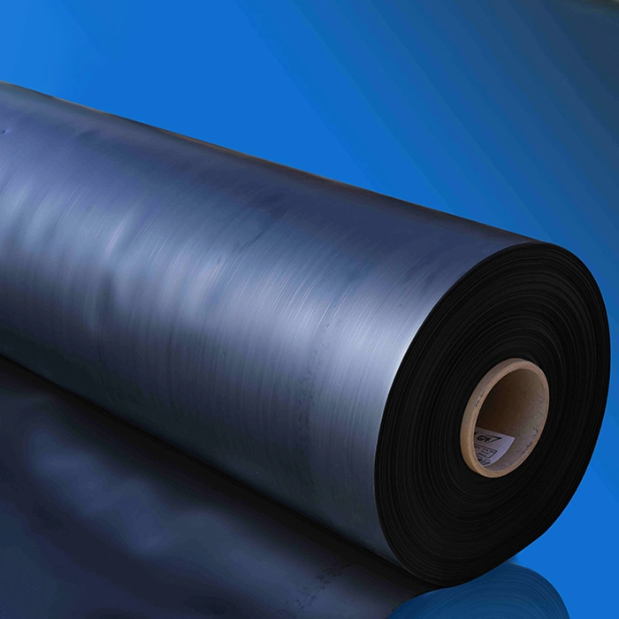 Plastic Film 0.5mm 1mm 2mm HDPE LDPE LLDPE Geomembrane Lining Pond Liner for Pool Lake River Aquaculture Agriculture Dam Landfill Fish Farming Tank Price