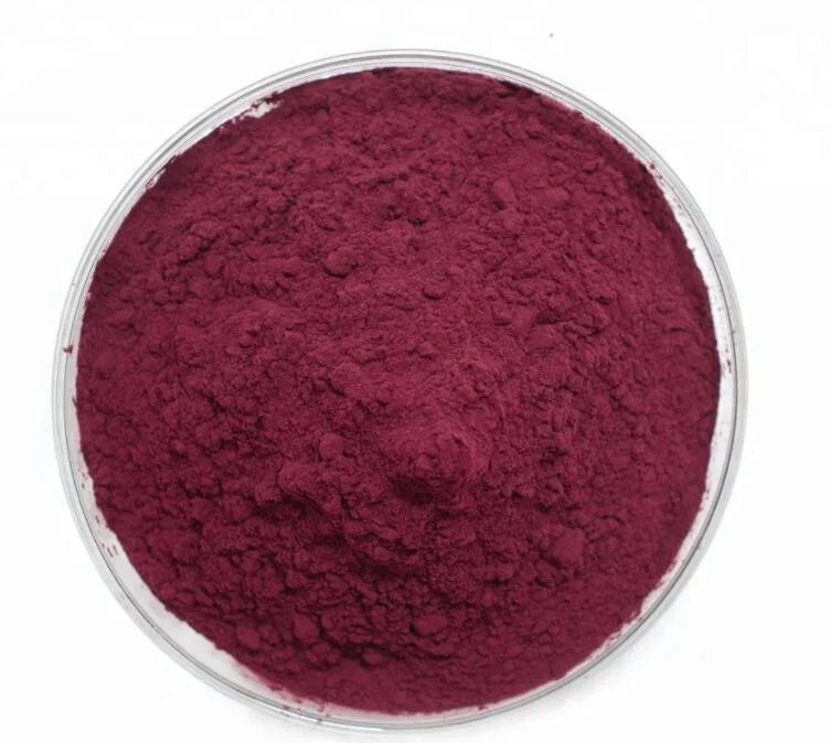 100% Organic Spray Dry Bilberry Extract Powder