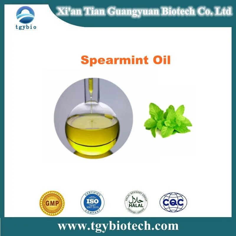 Top Quality Pure Spearmint Essential Oil/ Spearmint Oil Price