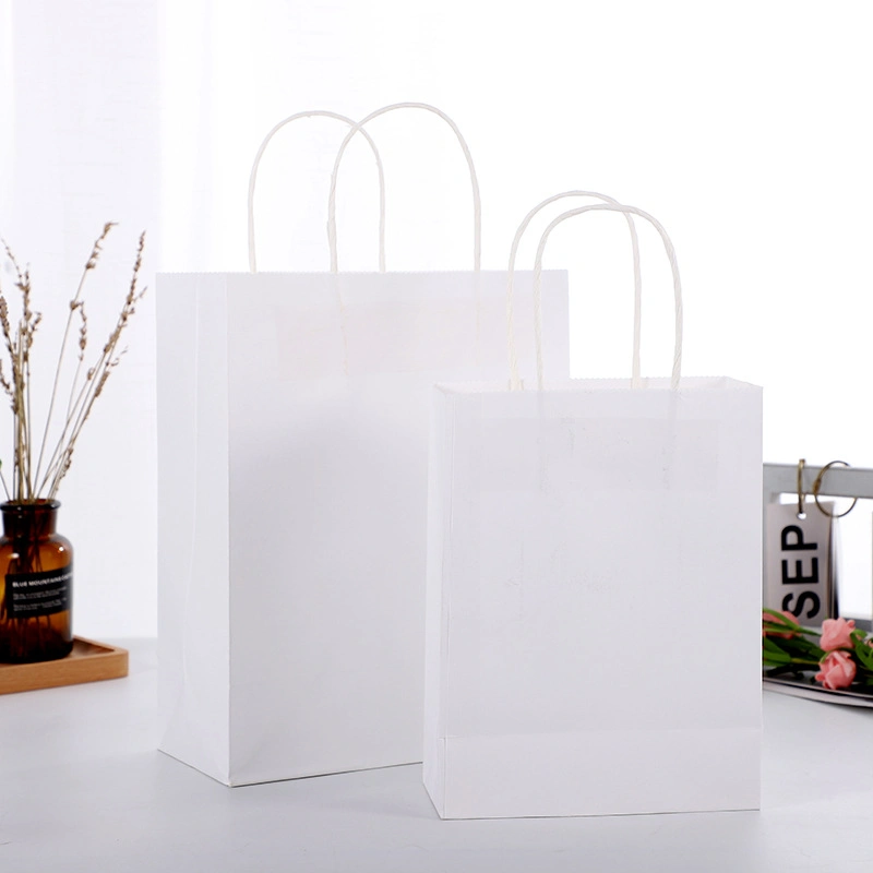 Eco-Friendly Custom Reusable Twist Handle Printed Paper Bag